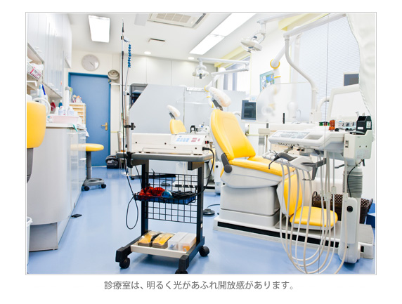 診療室は、明るく光があふれ開放感があります。 診療室は、明るく光があふれ開放感があります。